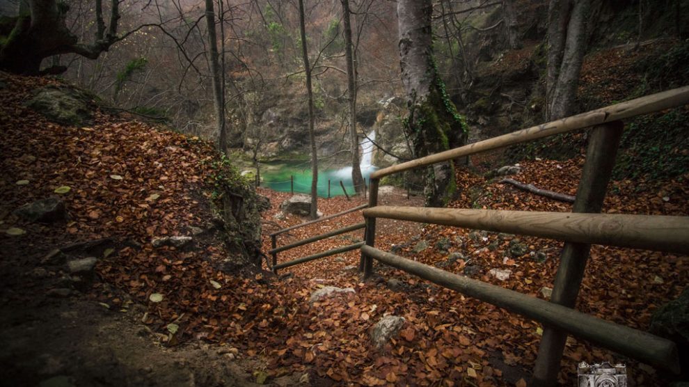 NACEDERO UREDERRA – NAVARRA