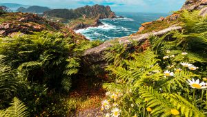 Vistas de la costa desde el Alto de Principe en las Islas Cies de Galicia
