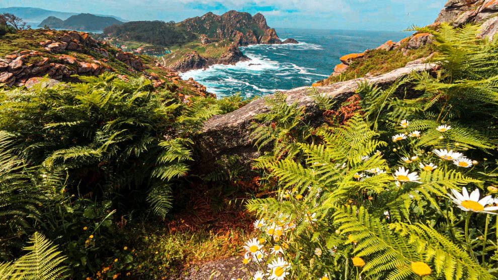 ISLAS CIES – GALICIA